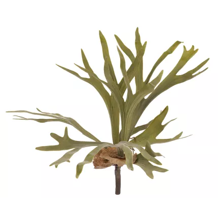 Platycerium artificiel ou STAGHORN artificiel (CORNE D ELAN) 60 cm de dos