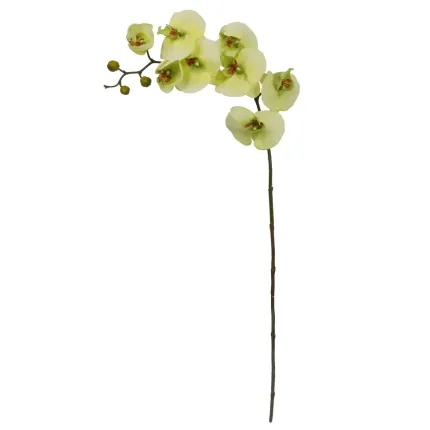 ORCHIDEE phalaenopsis artificielle verte 100 cm entière