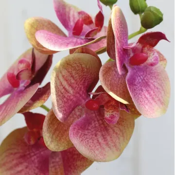 fleurs orchidée PHALAENOPSIS artificielle  35 cm