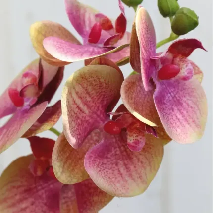 fleurs orchidée PHALAENOPSIS artificielle  35 cm