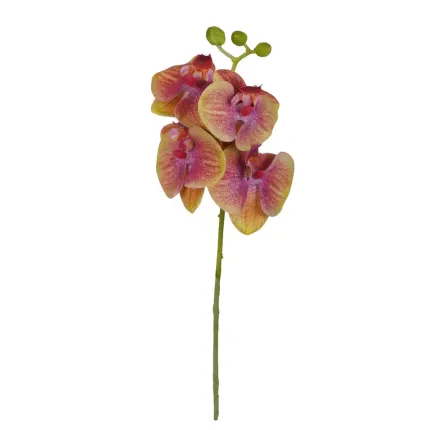 orchidée PHALAENOPSIS artificielle  35 cm entier
