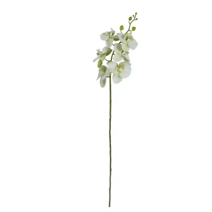 ORCHIDEE phalaenopsis artificielle 80 cm vert en tige
