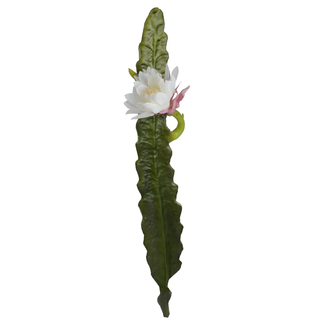 cactus cierge artificiel fleuri blanc 52 cm