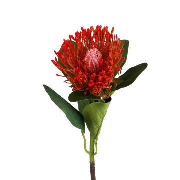 PROTEA artificielle 63 cm