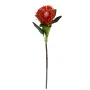 PROTEA artificielle 63 cm en tige