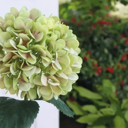 mise en situation HORTENSIA artificiel vert 65 cm