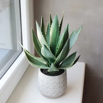 mise en situation ALOE artificiel en pot 33 cm sur un rebord de fenêtre