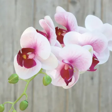 fleurs ORCHIDEE phalaenopsis artificielle 80 cm rose