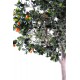 ORANGER artificiel arbre LARGE 280 cm