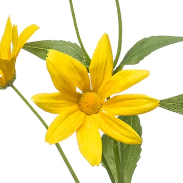 fleurs Marguerite artificielle jaune 60 cm