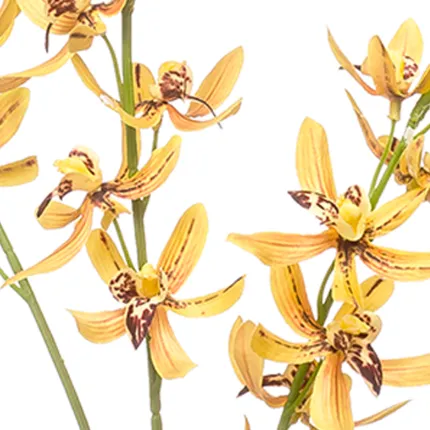 ORCHIDEE Cymbidium artificielle 90 cm