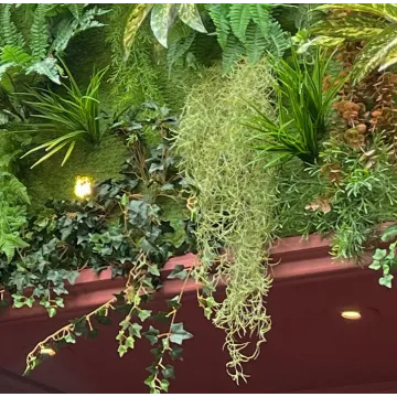 mise ne situation TILLANDSIA artificiel vert  80 cm dans un mur végétalisé artificiel