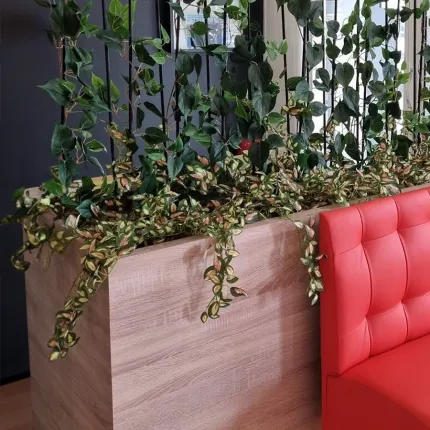 mise en situation hoya mini artificiel dans une séparation dans salle d'attente