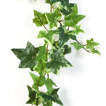 feuilles Guirlande LIERRE ANGLAIS artificiel panaché 180 cm