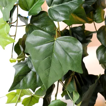 feuilles LIERRE artificiel 175 cm