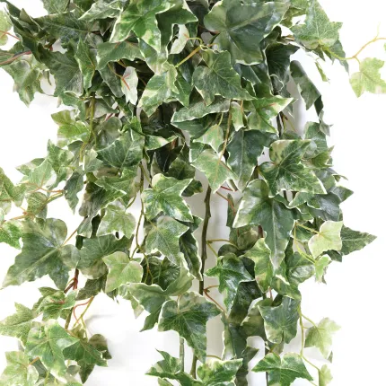 feuilles LIERRE Hollandais artificiel panaché 110 cm