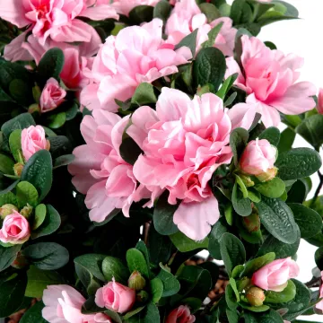 fleurs AZALEE artificielle 30 cm rose