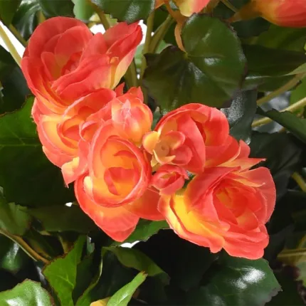 fleurs BEGONIA artificiel flamme Hauteur 40 cm