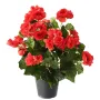 BEGONIA artificiel rouge Hauteur 40 cm en pot