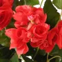 fleurs BEGONIA artificiel rouge Hauteur 40 cm