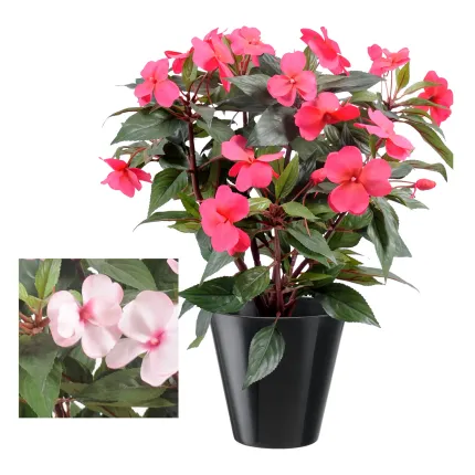 IMPATIENS artificielle 40 cm