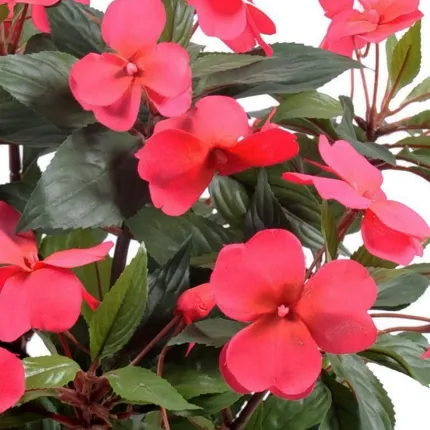 fleurs IMPATIENS artificielle 40 cm fushia