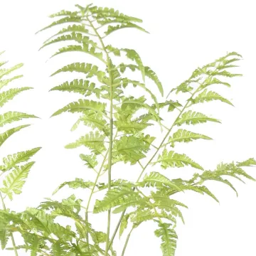 feuilles FOUGERE artificielle sur plot