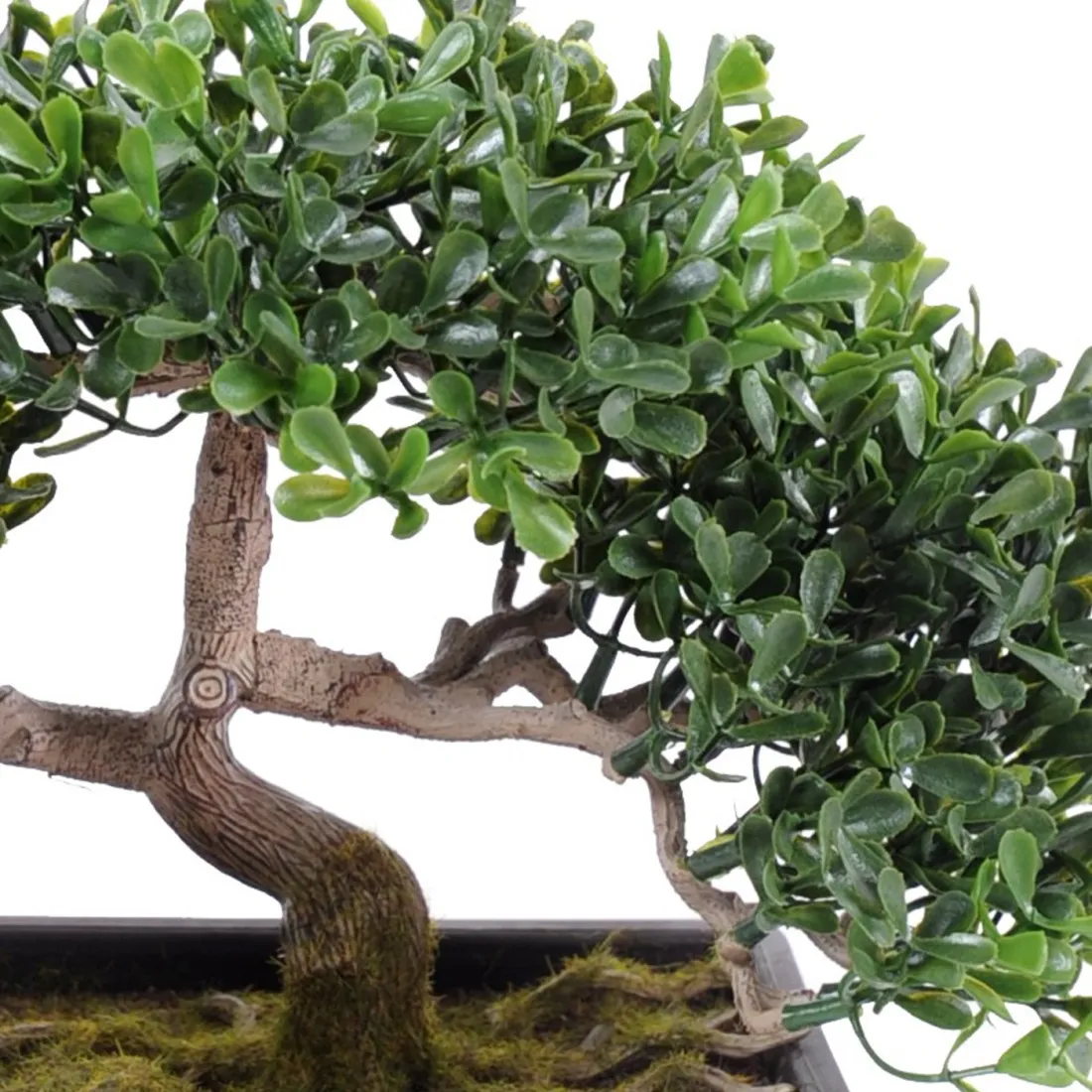 11 Pièces Mini Plantes Artificielles - Décoration Maison De Poupée, Jardin Féerique, Bonsaï Miniature
