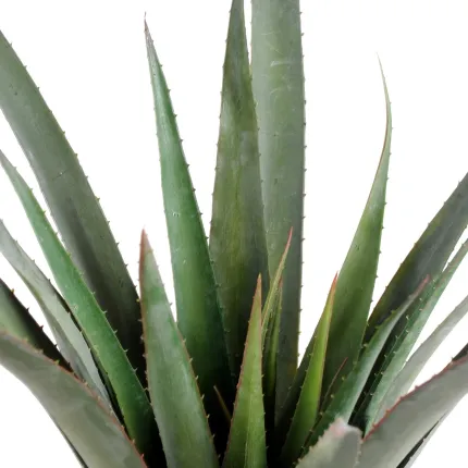 feuilles ALOE artificiel Ferox 65 cm