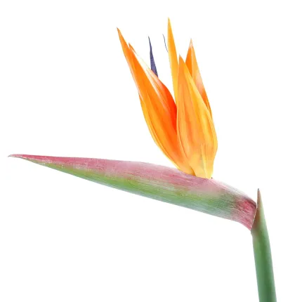 fleur STRELITZIA ARTIFICIEL 89 cm