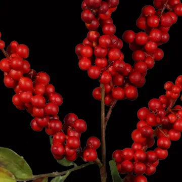 baies artificielles 48 cm