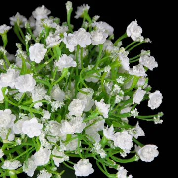 détails bouquet de gypsophile artificiels 25 cm