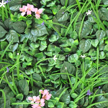 MUR VEGETAL B 100 x 100 cm de proche