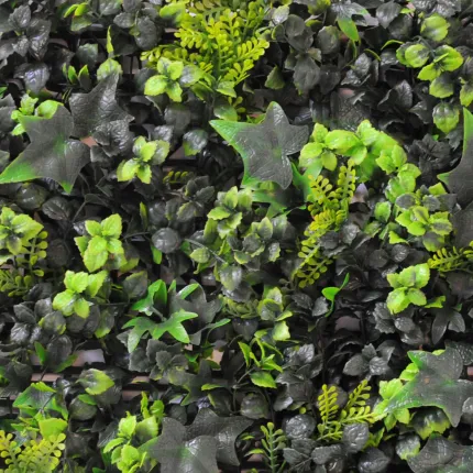 détail MUR fond buis et lierre  50 x 50 cm