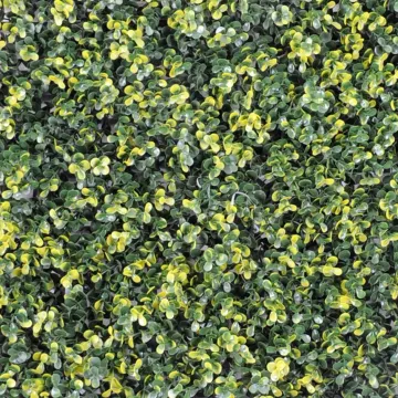 feuilles buis plaque  artificielle 50 cm