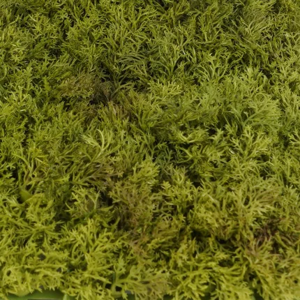 feuilles Plaque de mousse ISLANDE artificielle 25 cm x 50 cm ANTI FEU