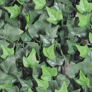 feuilles LIERRE plaque  artificielle 50 cm