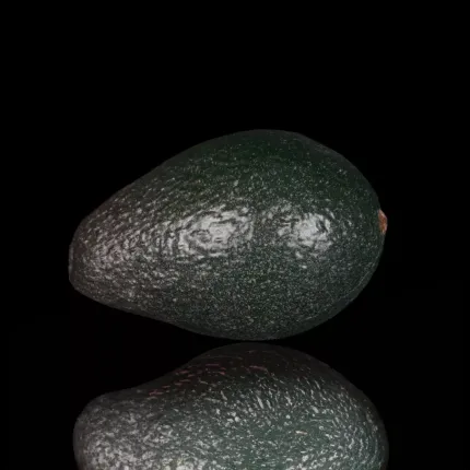 AVOCAT artificiel 10,5 cm avec reflets