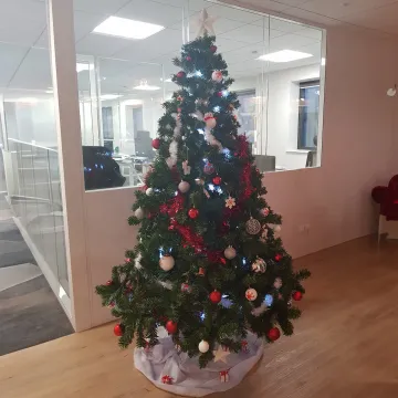 SAPIN artificiel Canadien 120 cm à 450 cm IGNIFUGE au bureau