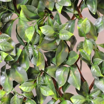 feuilles Palissade charme artificiel 2 m x 1 m modulable