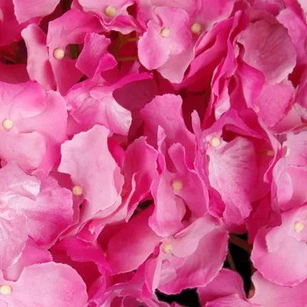 HORTENSIA artificiel - Détail fleurons rose vif