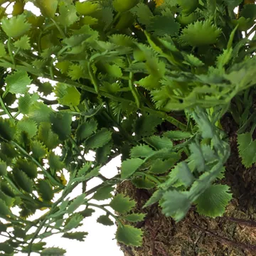 Suspension capillaire 22 cm - feuillage