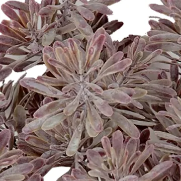 MILLER artificiel buisson 22 cm