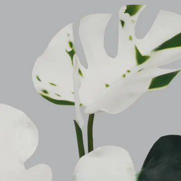 PHILODENDRON MONTSERA DELICIOSA ALBINOS artificiel 42 cm