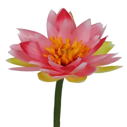 LOTUS artificiel 42 cm