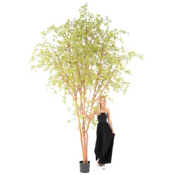 hauteur sous feuillage ERABLE artificiel plast (Aralia) 340 cm