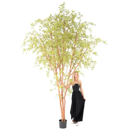 hauteur sous feuillage ERABLE artificiel plast (Aralia) 340 cm