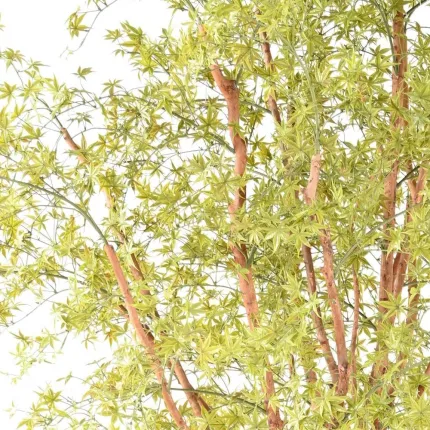 feuilles ERABLE artificiel plast (Aralia) 340 cm