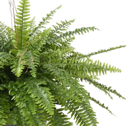 feuilles FOUGERE Boston artificielle en pot 110 cm