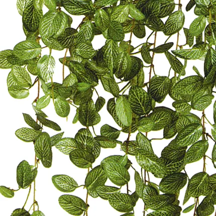 feuilles FITTONIA artificiel 95 cm